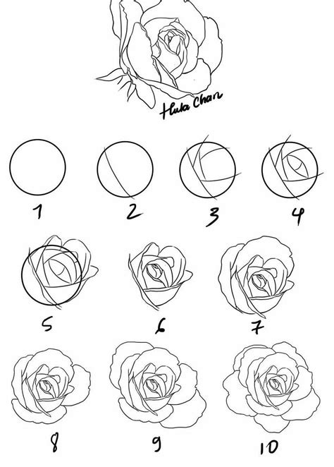 How to draw a rose | Roses drawing, Rose drawing, Flower drawing tutorials