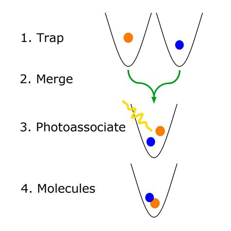 Two atoms combined in dipolar molecule for first time — Harvard Gazette