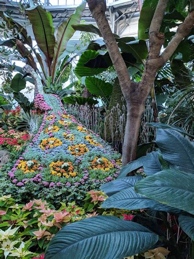 Annual Allan Gardens Conservatory Winter Flower Show