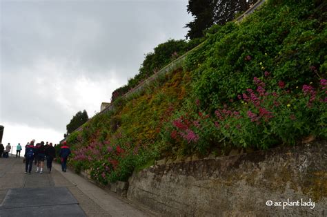 California Road Trip: Day 8 - The Gardens of Alcatraz - Ramblings from a Desert Garden