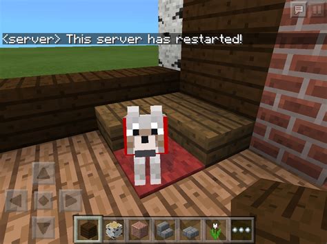 Dog Bed: Dog Bed Minecraft