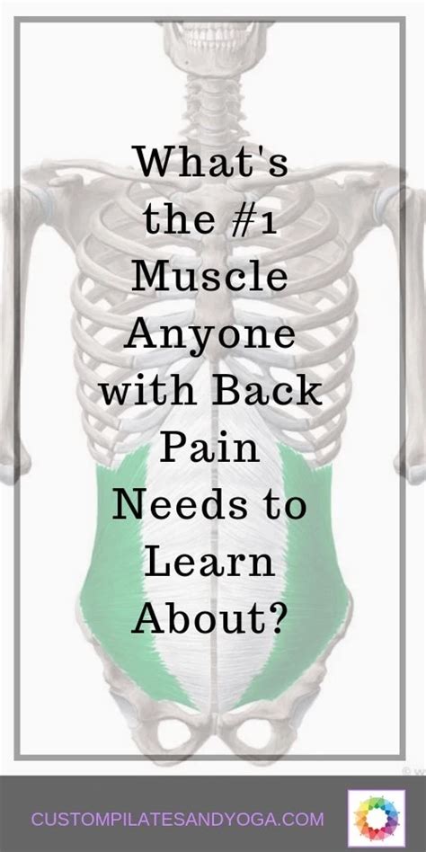 What's the #1 Muscle Anyone with Back Pain Needs to Learn About? - Spinal Rejuvenation