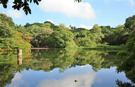 Pointe a Pierre Wild Fowl Trust | Island tour, Caribbean islands, Island