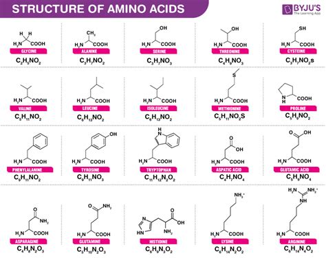 Amino Acids- Properties, Functions, Sources and its Deficiency Disorders