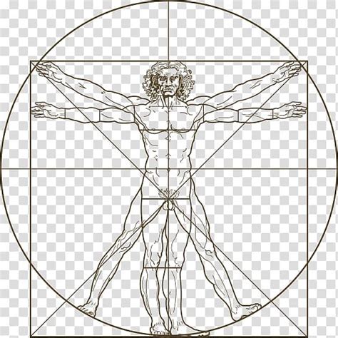 Vitruvian Man Drawing, man transparent background PNG clipart | Vitruvian man, Vitruvian man ...