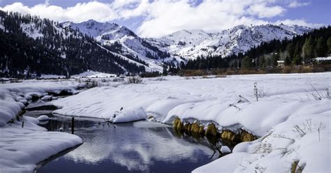 California snowpack at highest December level since 2015 - Los Angeles Times