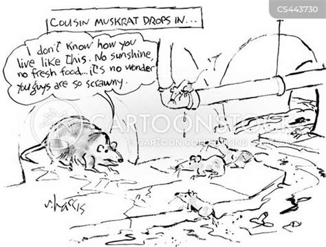 Sewage Rat Cartoons and Comics - funny pictures from CartoonStock