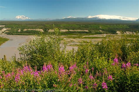 Copper River | Photos by Ron Niebrugge