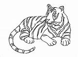 Tiger Coloring Pages Pdf – Warehouse Of Ideas sketch template
