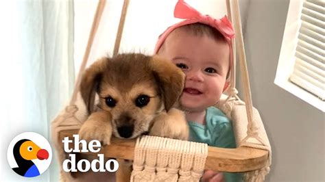 This Puppy And Baby Sister Are Perfectly In Sync With Everything They ...