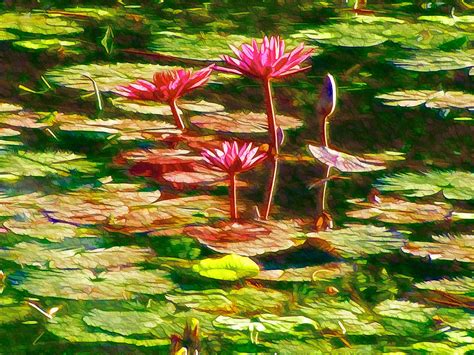 Pink Lotus Flower 2 Painting by Jeelan Clark