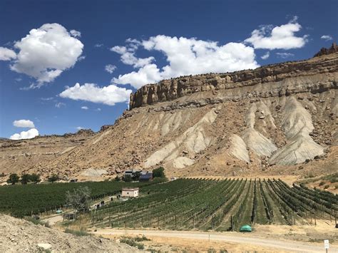 How to bike the Fruit and Wine Byway in Palisade, Colorado - Colorado Wine