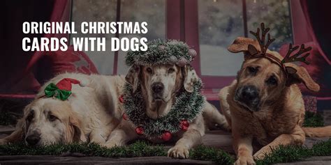 20 Original Christmas Cards With Dogs – Festive, Cute & Funny