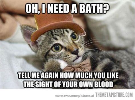 Oh I Need A Bath? Cat Meme - Cat Planet | Cat Planet