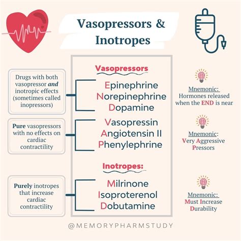 Vasopressors and Inotropes⁠ – Memory Pharm