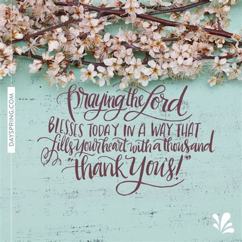 A Thousand Thank You's | DaySpring eCard Studio | Birthday scripture ...