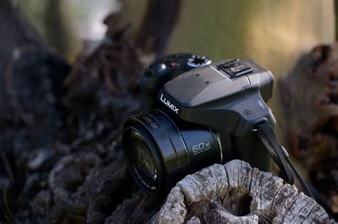 Panasonic Lumix DC-FZ80 Review: An All-Purpose Camera with Value