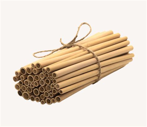 Bamboo Straws – coffeeostrich