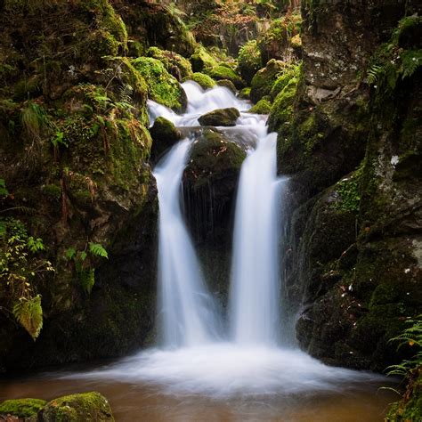 Shedding Light | Part of my ongoing "Black Forest Waterfalls… | Flickr