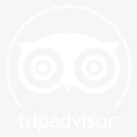 Tripadvisor Logo PNG Images, Transparent Tripadvisor Logo Image Download - PNGitem