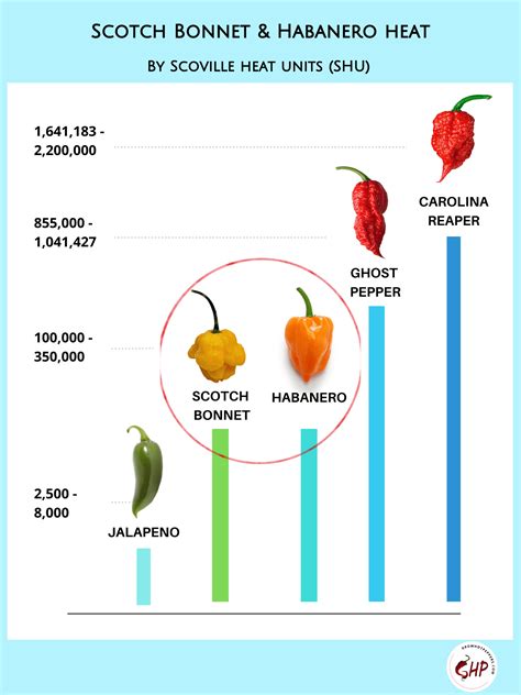 Scotch Bonnet Vs Habanero: Revealing 3 Key Differences In This Spicy ...