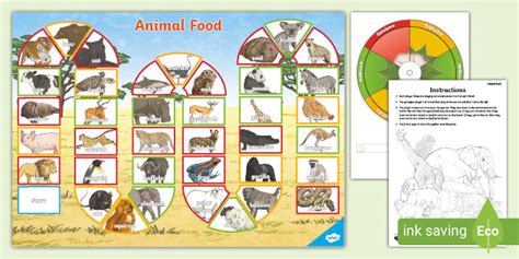 Carnivore, Herbivore or Omnivore? | Animal Board Game