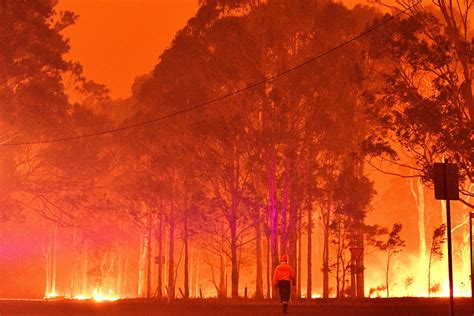 Australian bushfires: what should you do if you have a trip booked ...