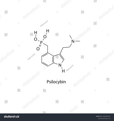 Psilocybin Molecular Structure Skeletal Formula Diagram Stock Vector ...