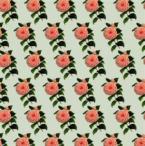 Floral Wallpaper Background Free Stock Photo - Public Domain Pictures