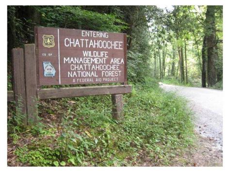 Chattahoochee Wildlife Management Area | Official Georgia Tourism & Travel Website | Explore ...