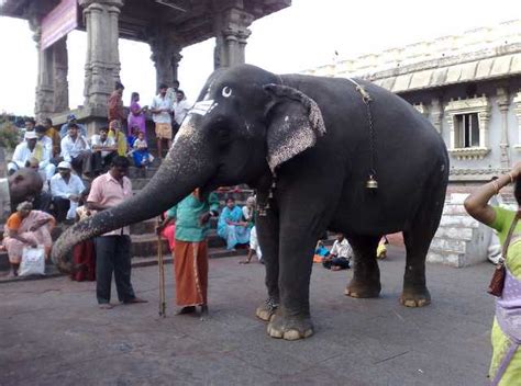 Srikalahasti Temple, Chittoor (2024) - Images, Timings | Holidify