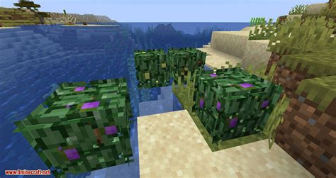 Berry Bushes Mod 1.15.2, 1.14.4 (Randomly Spawn Berry Bushes with ...