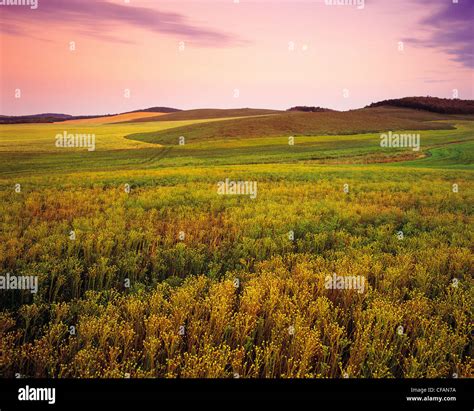 Crop patterns hi-res stock photography and images - Alamy