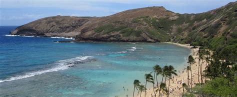 Oahu Snorkeling Spots - Hawaii Discount