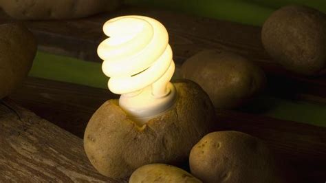 Make your own potato lightbulb • Materia