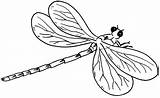 Free Printable Dragonfly Coloring Pages For Kids sketch template