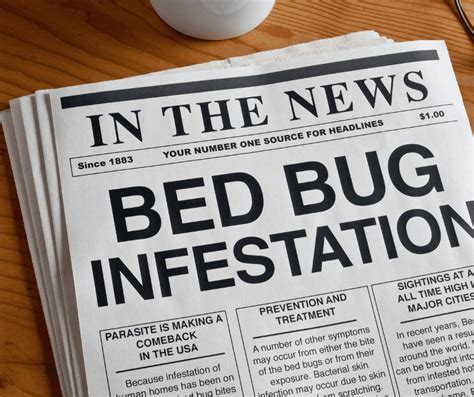 Bed Bugs In Hotels - The Hidden Dangers of Summer Travel