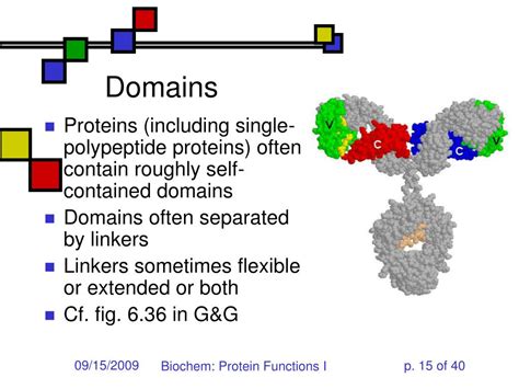 PPT - Protein Functions; Enzyme Properties PowerPoint Presentation, free download - ID:4769879