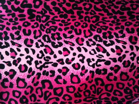 Cheetah Print Wallpaper - Wallpaper Sun