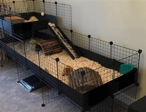 Gallery - C&C Guinea Pig Cages - Mesh and Grid Cages for Pets