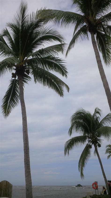 View to beach at the Royal Decameron Salinitas, El Salvador | Iphone ...