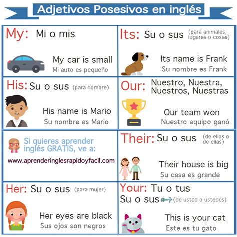 Adjetivos posesivos en inglés: My, Your, His, Her, Its, Our y Their