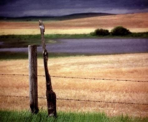 Scenic Saskatchewan landscape Digital Art by Mark Duffy | Fine Art America