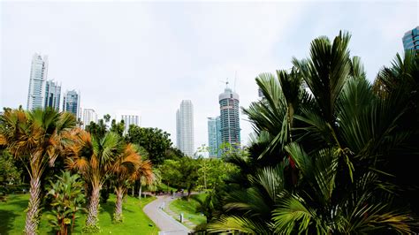 Exploring the Beauty of KLCC Park