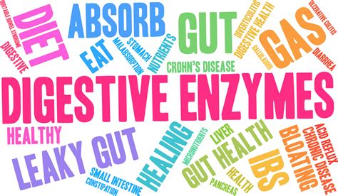 Benefits of Digestive Enzymes - Body Flow Wellness