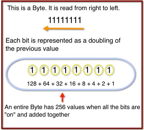 How to read binary numbers