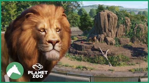 West African Lion Habitat | Elm Hill City Zoo | Planet Zoo - YouTube