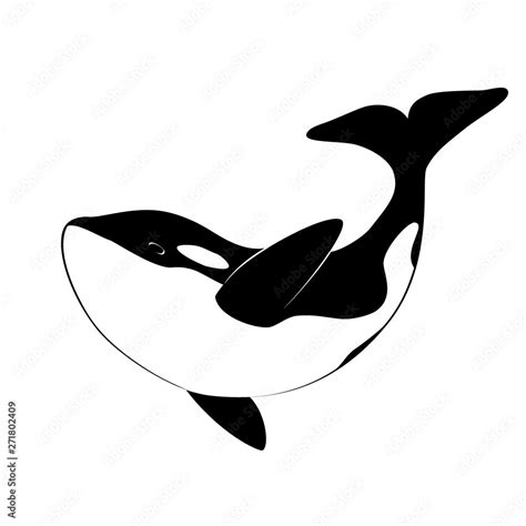 Isolated black silhouette of orca whale on white background. Killer ...