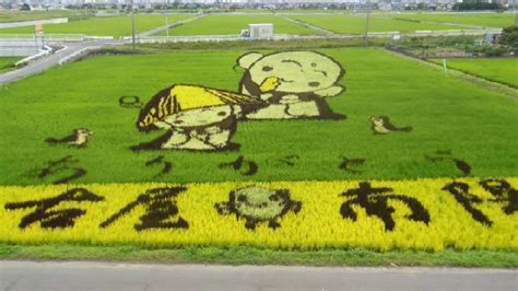 Rice Field Art in Japan! - YouTube