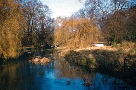 Cassiobury Park Spring 1957 | Cassiobury, Cassiobury | Our Watford History